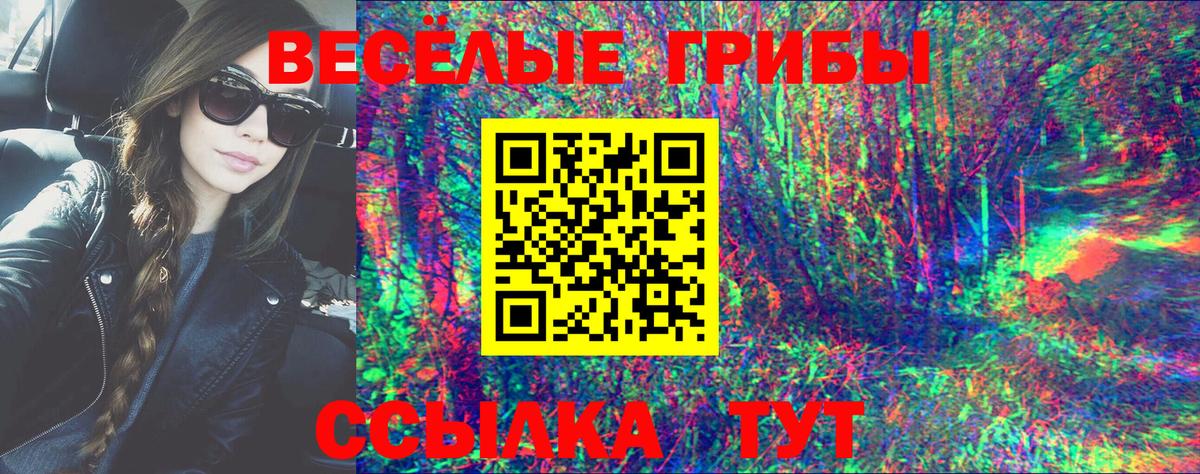 Галлюциногенные грибы ЛСД  Вход с VPN  Галлюциногенные грибы Psilocybine cubensis  купить   Елец 